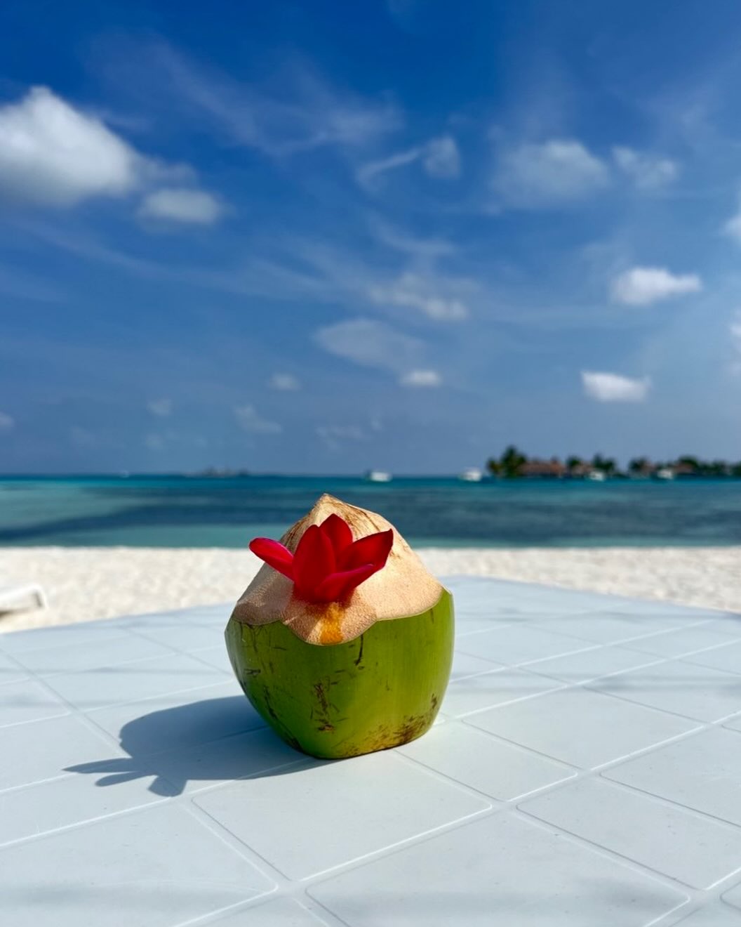 Ithaa Beach Maldives View 4